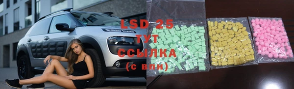 прущие крисы Аркадак