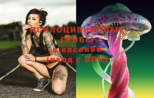 прущий лед Арсеньев