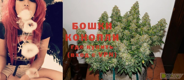 прущий лед Арсеньев